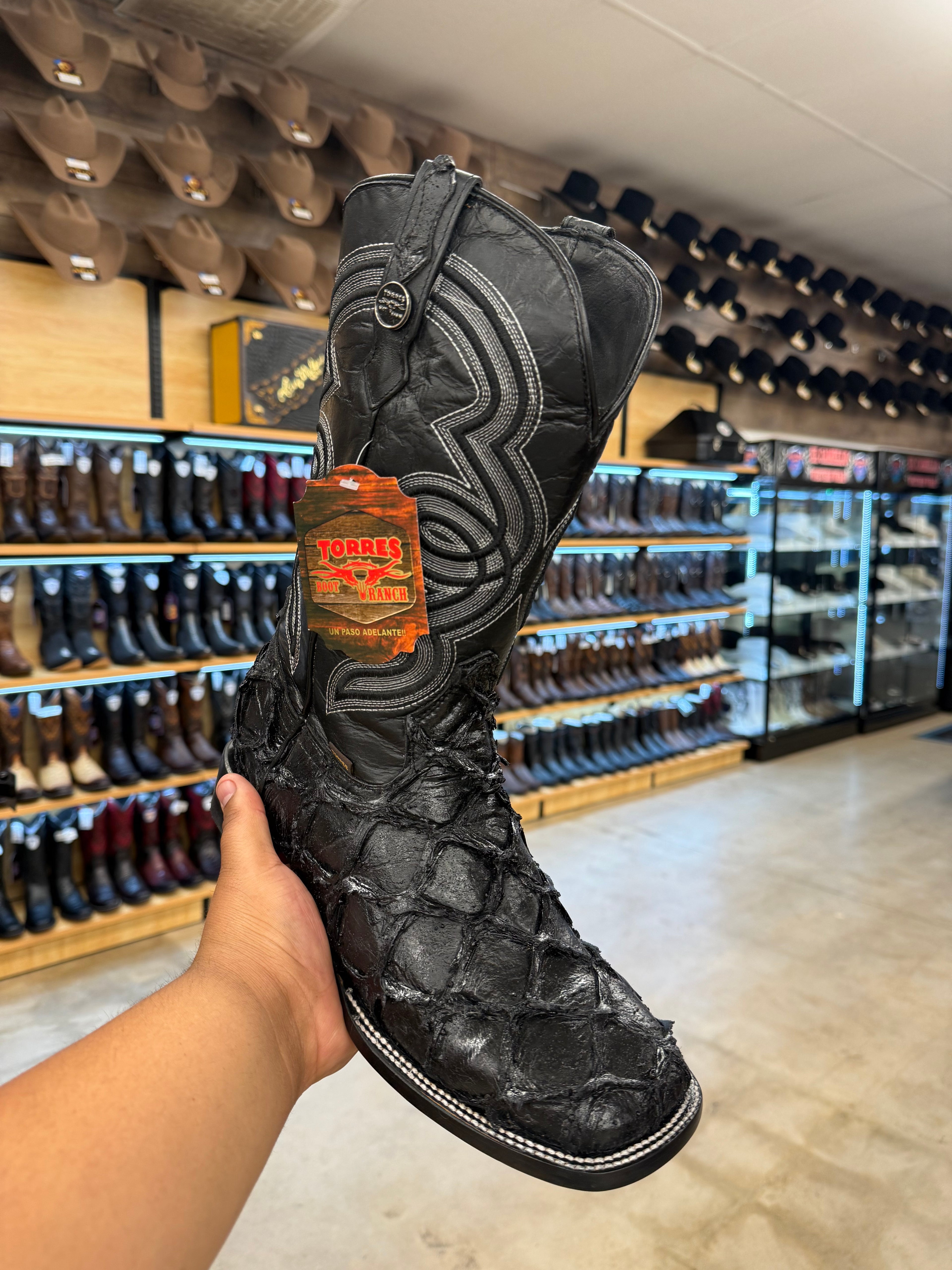 Piraruccu - Full Black